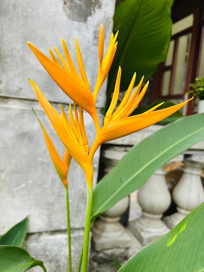 Maison Vu Tri Vien Huế Kültér fotó